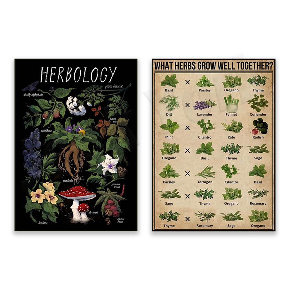 Herbal Gardens Wellness - What herbs grow well together? poster,