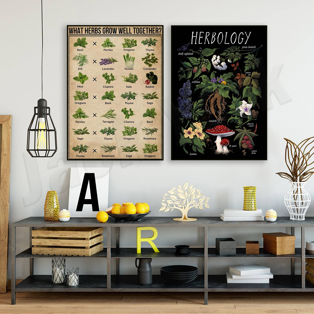 What herbs grow well together? - огляд і ціна Herbal Gardens Wellness