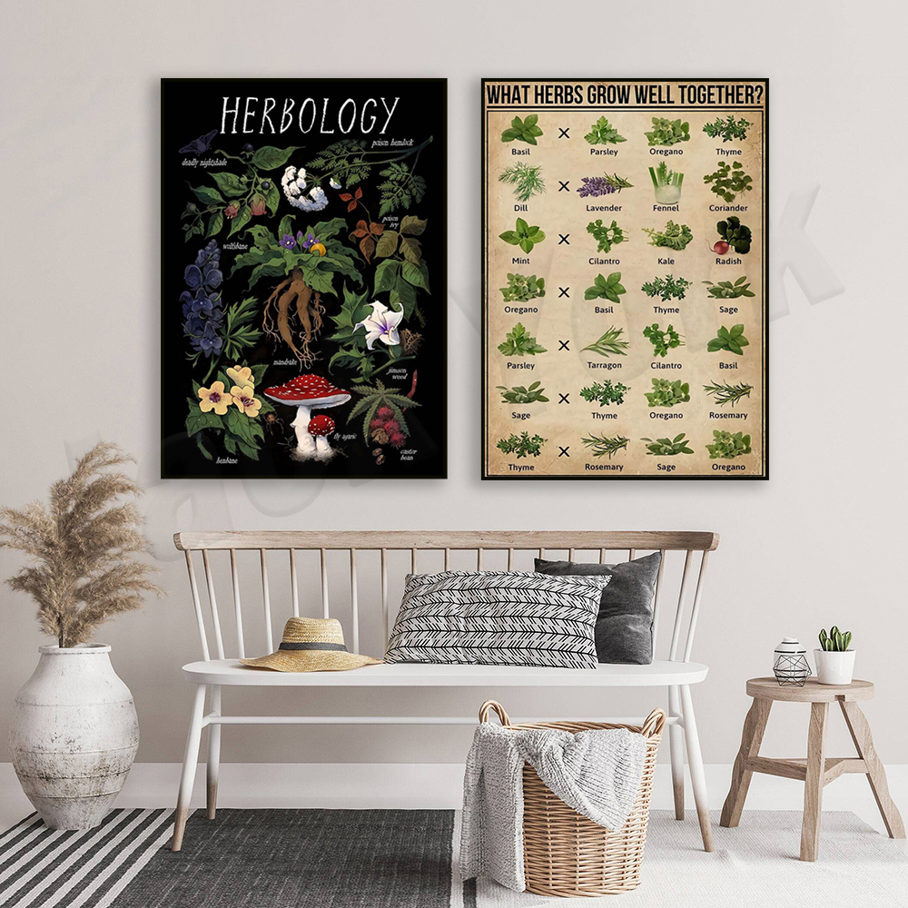 What herbs grow well together? - огляд і ціна Herbal Gardens Wellness